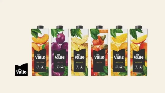 Suco Del Valle 1 Litro
